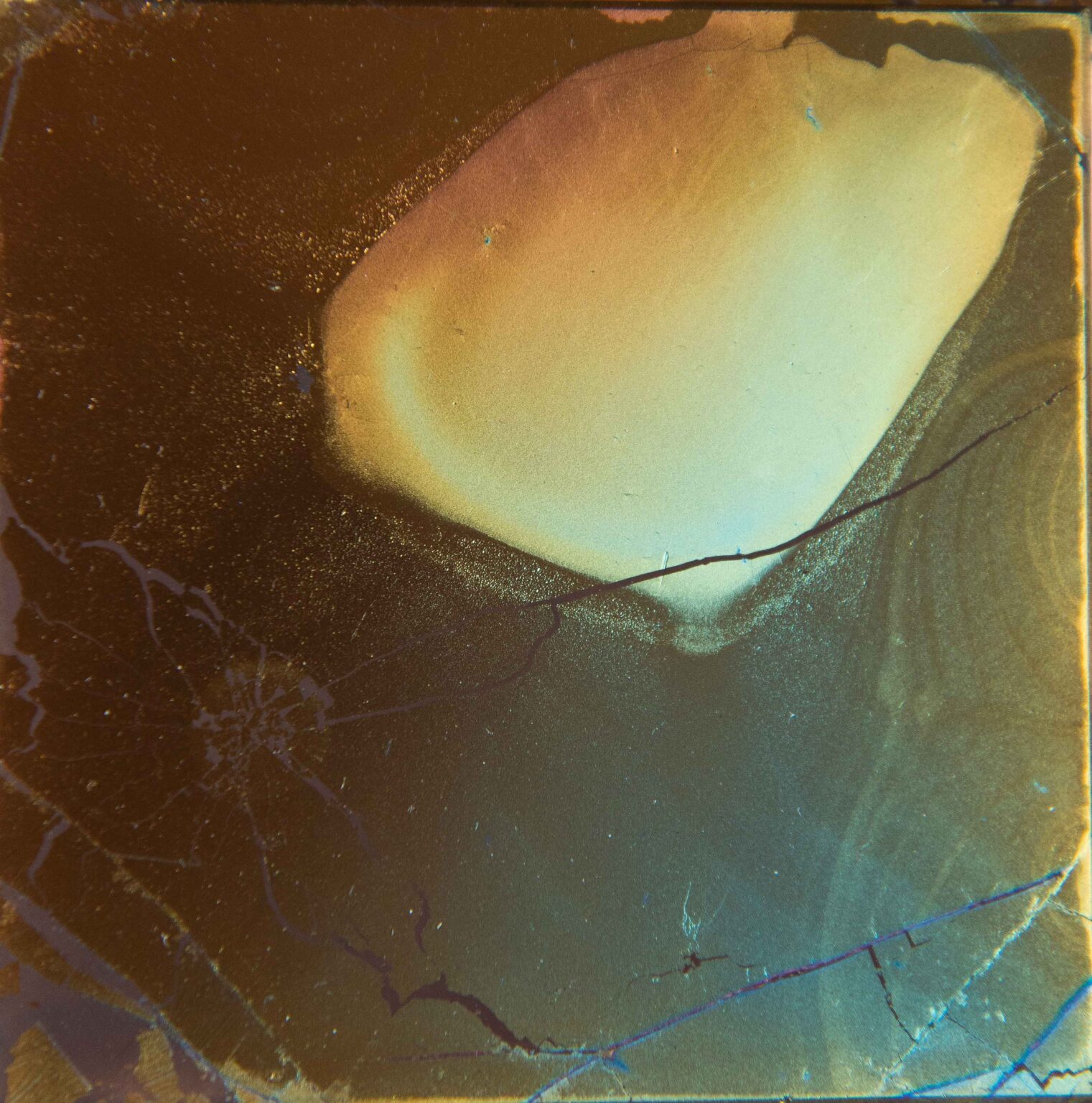 Sensing Landscape - Time Capsule #5 - Laure Winants