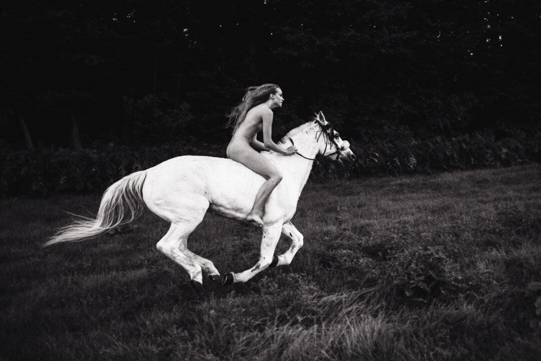 White Horse, Maud Chalard