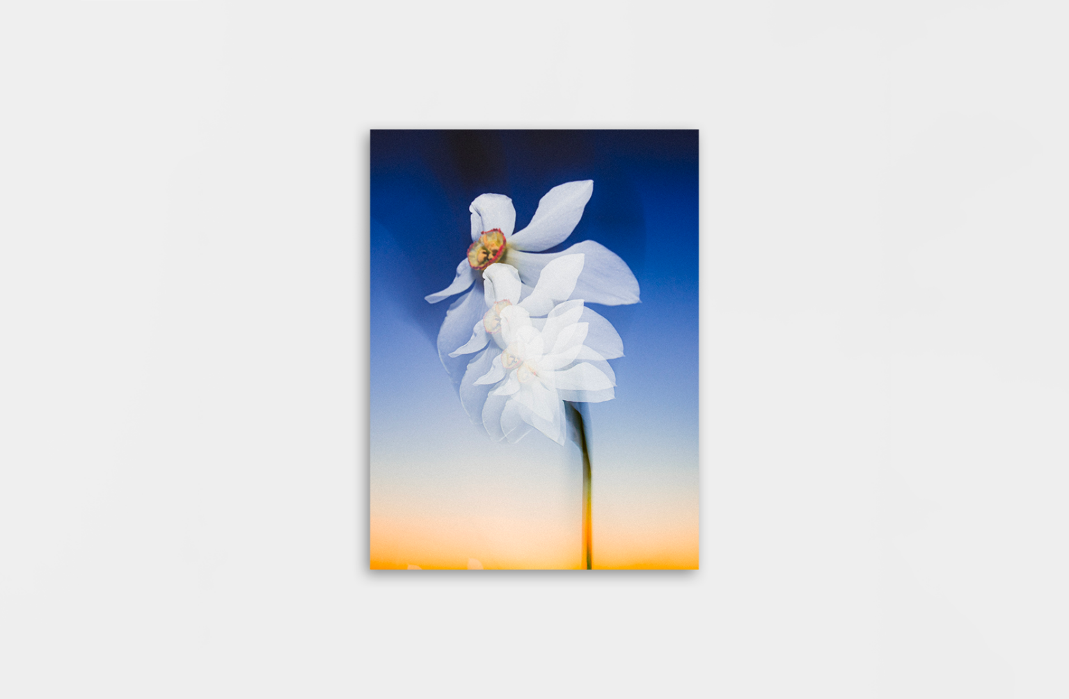 Mockup_FE_ETIENNE_FRANCEY_NARCISSE copie