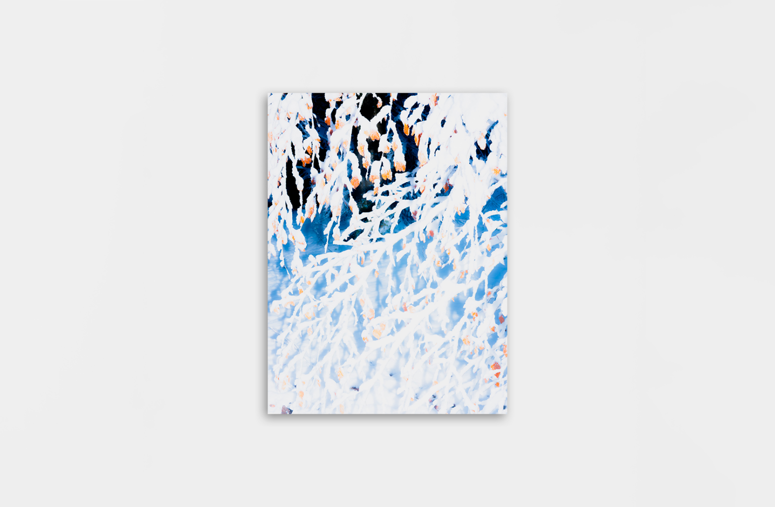 Mockup_FE_OK Bleu froid