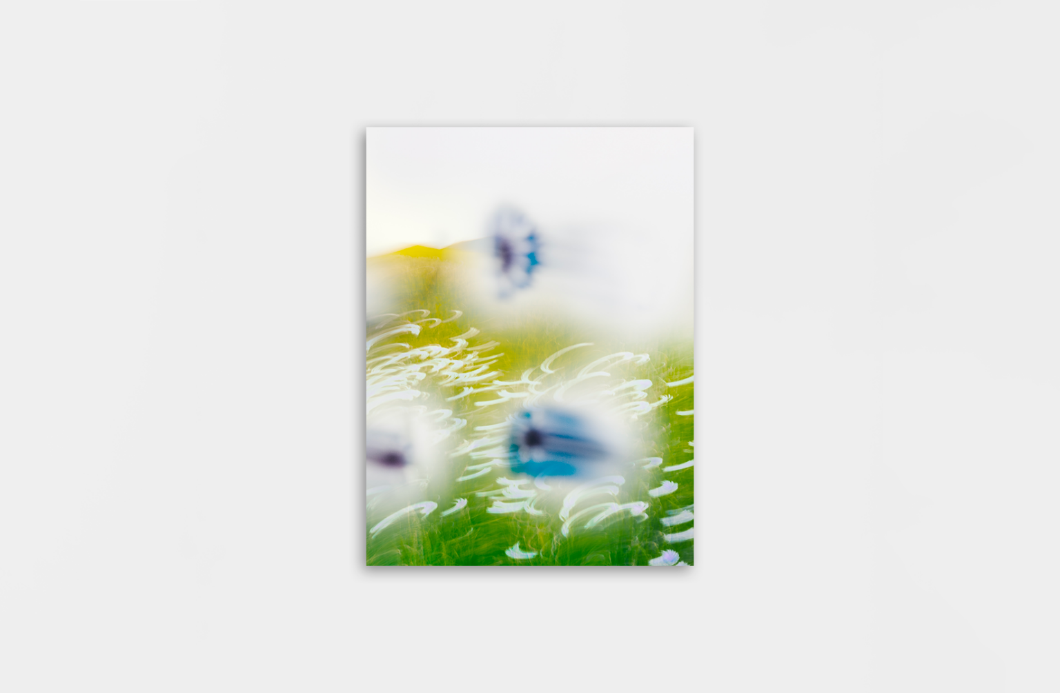 Mockup_FE_OK La prairie aux bleuets