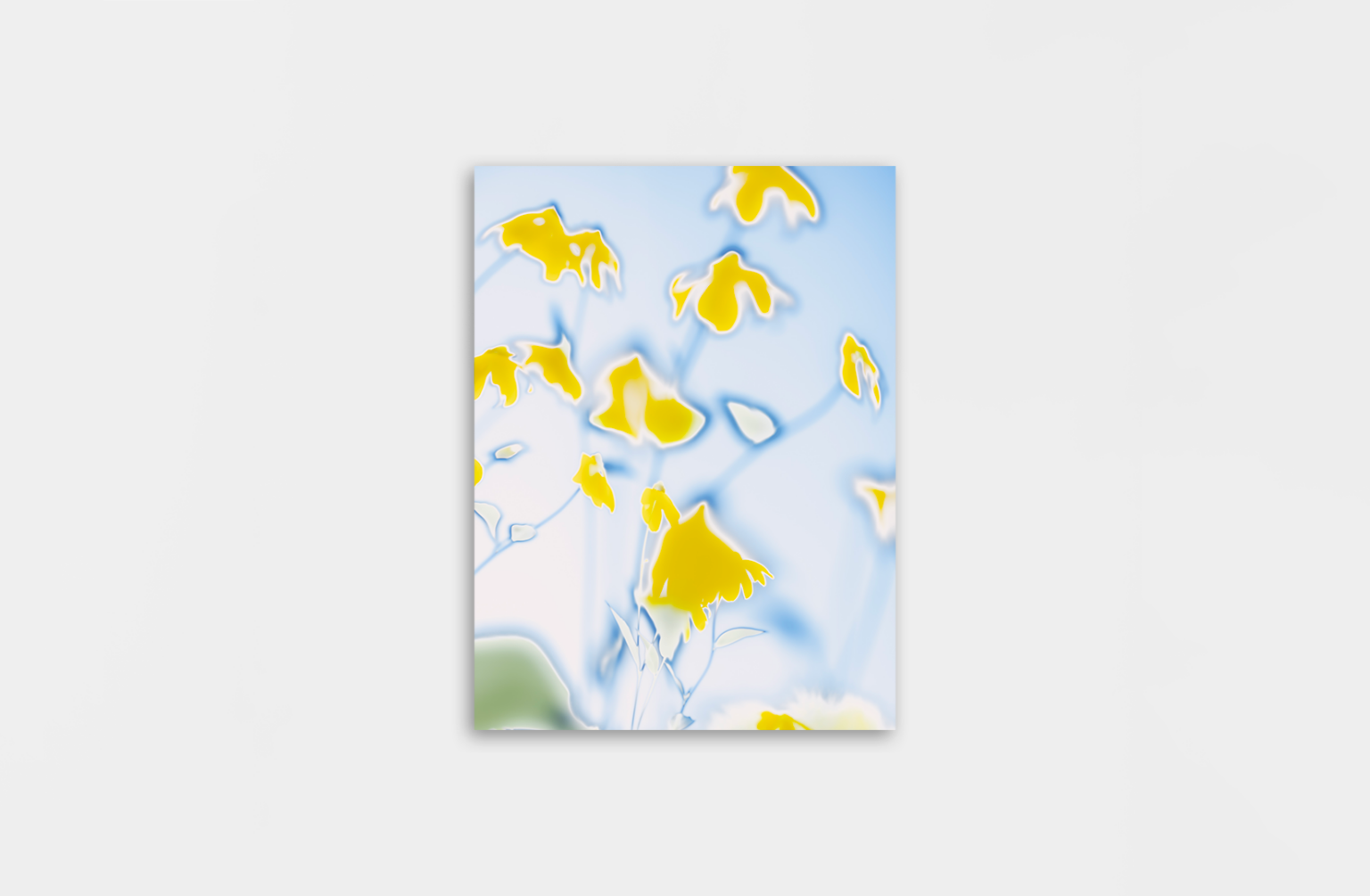 Mockup_FE_OK Solarisation