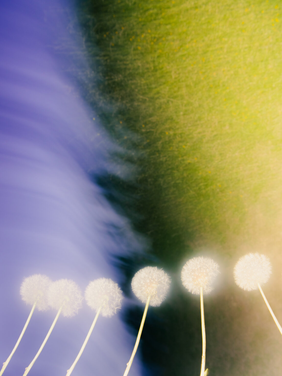 (c)-etienne-francey_JPG-WEB-sRVB-72ppp-188