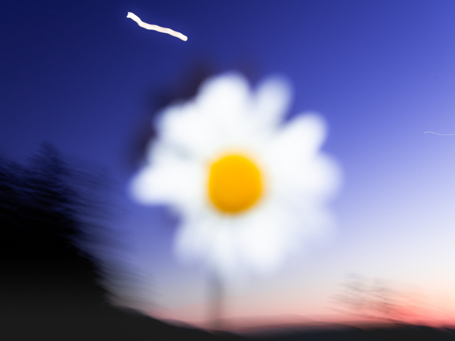 (c)-etienne-francey_JPG-WEB-sRVB-72ppp-192