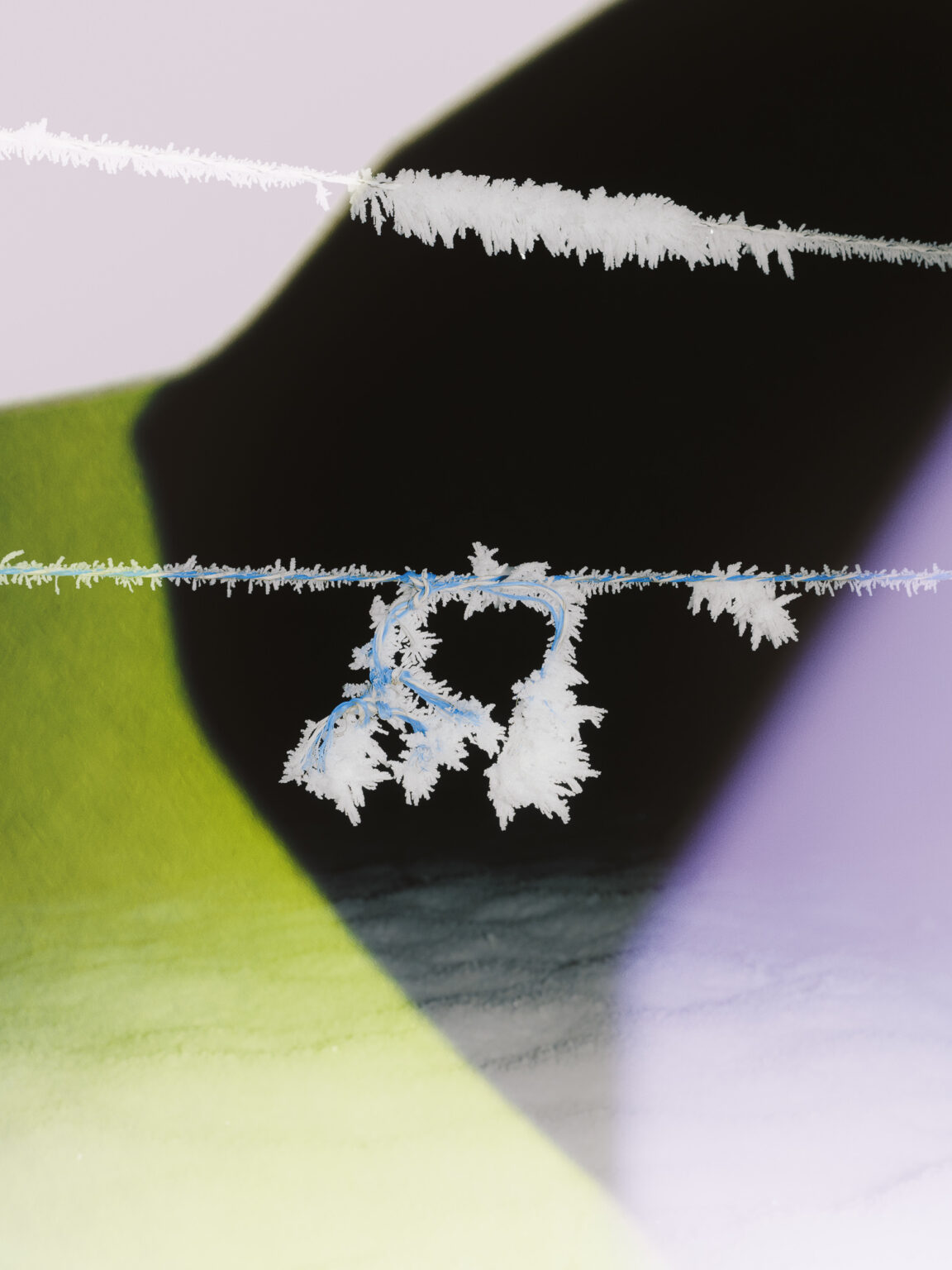 (c)-etienne-francey_JPG-WEB-sRVB-72ppp-195