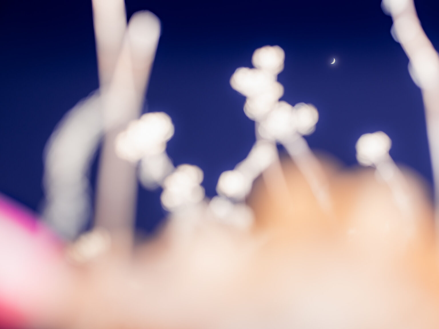 (c)-etienne-francey_JPG-WEB-sRVB-72ppp-36