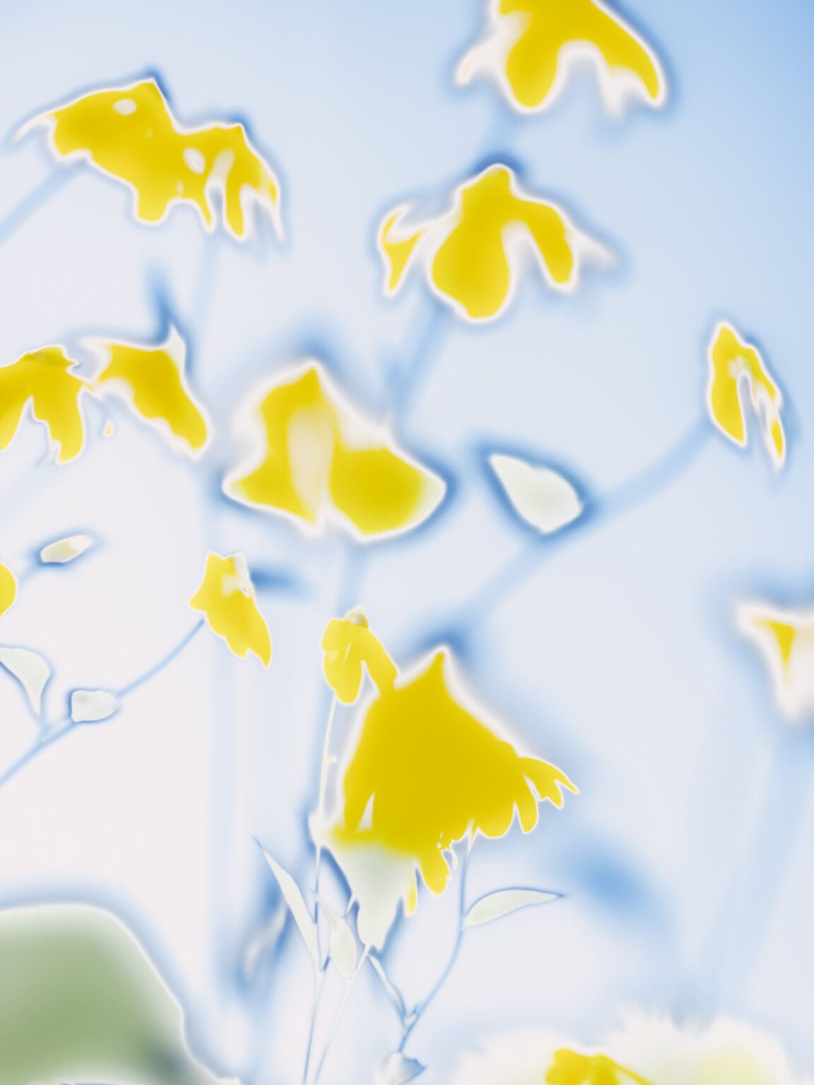 (c)-etienne-francey_JPG-WEB-sRVB-72ppp-59