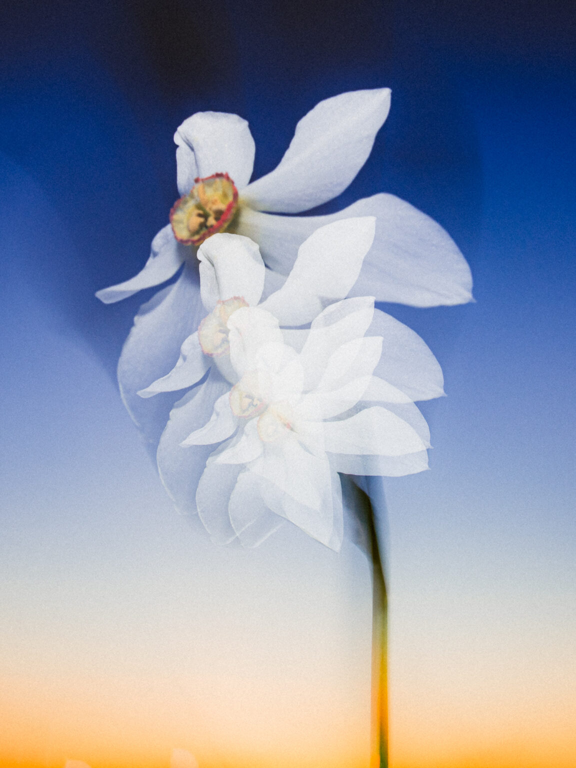 (c)-etienne-francey_JPG-WEB-sRVB-72ppp-6