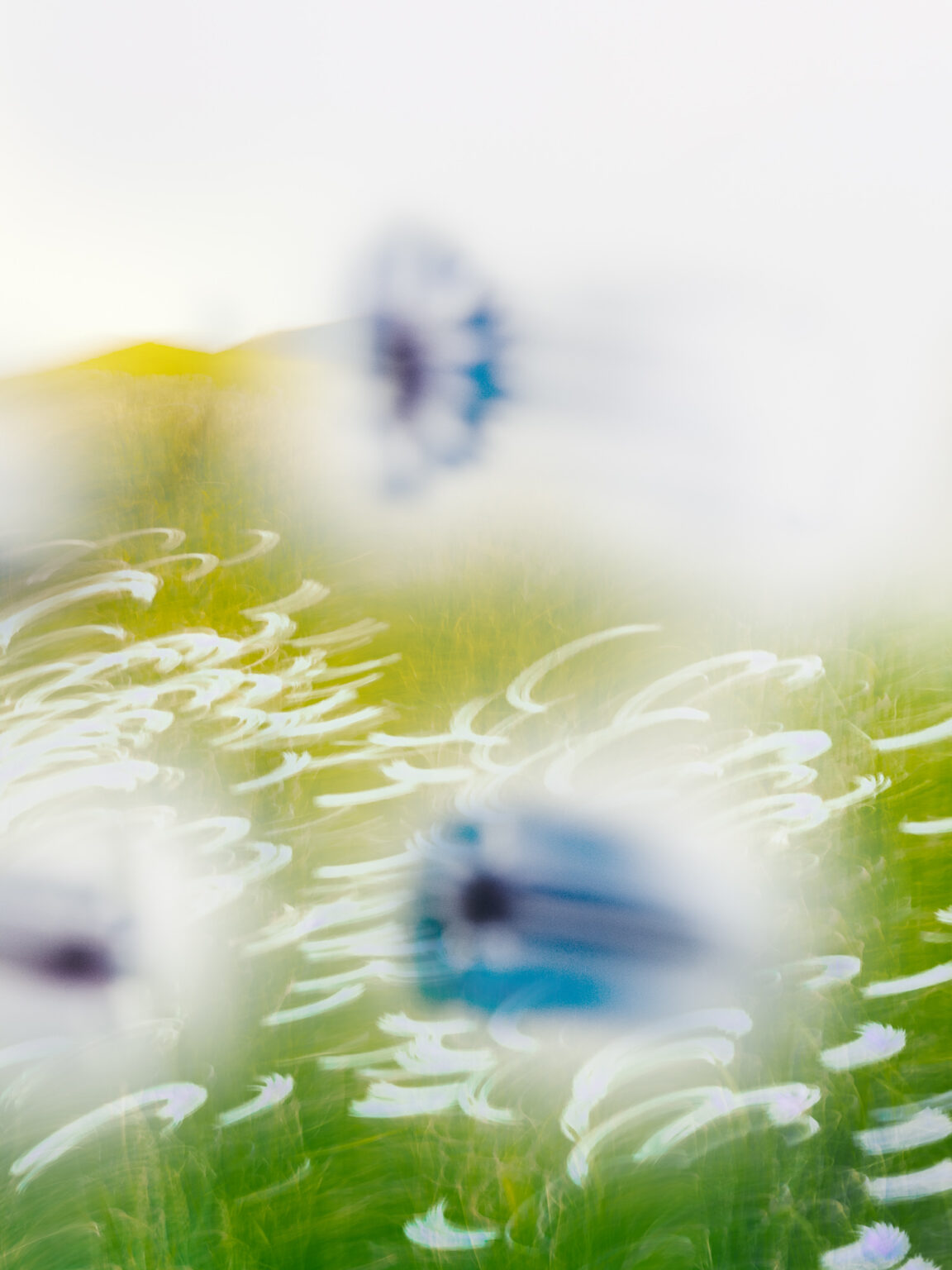 (c)-etienne-francey_JPG-WEB-sRVB-72ppp-68