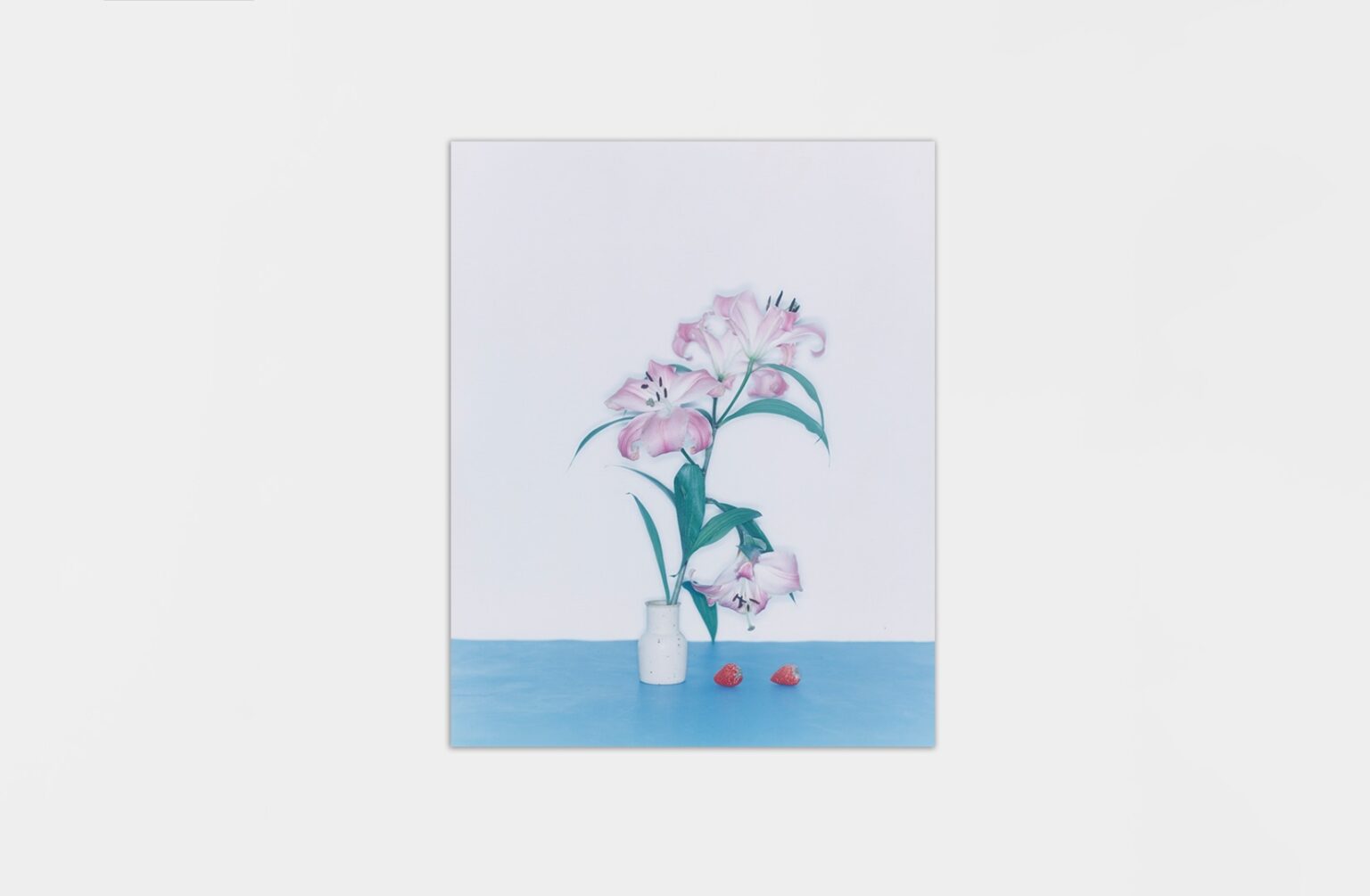 Before the Bloom STORE