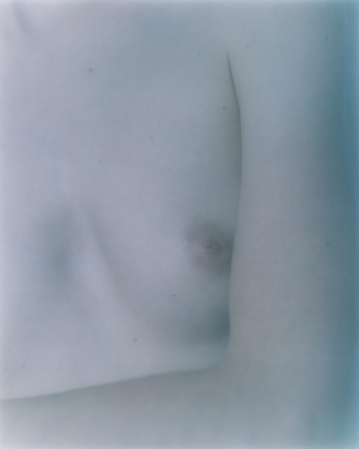 Hui Choi, The Swan_s Journey, 2024_3