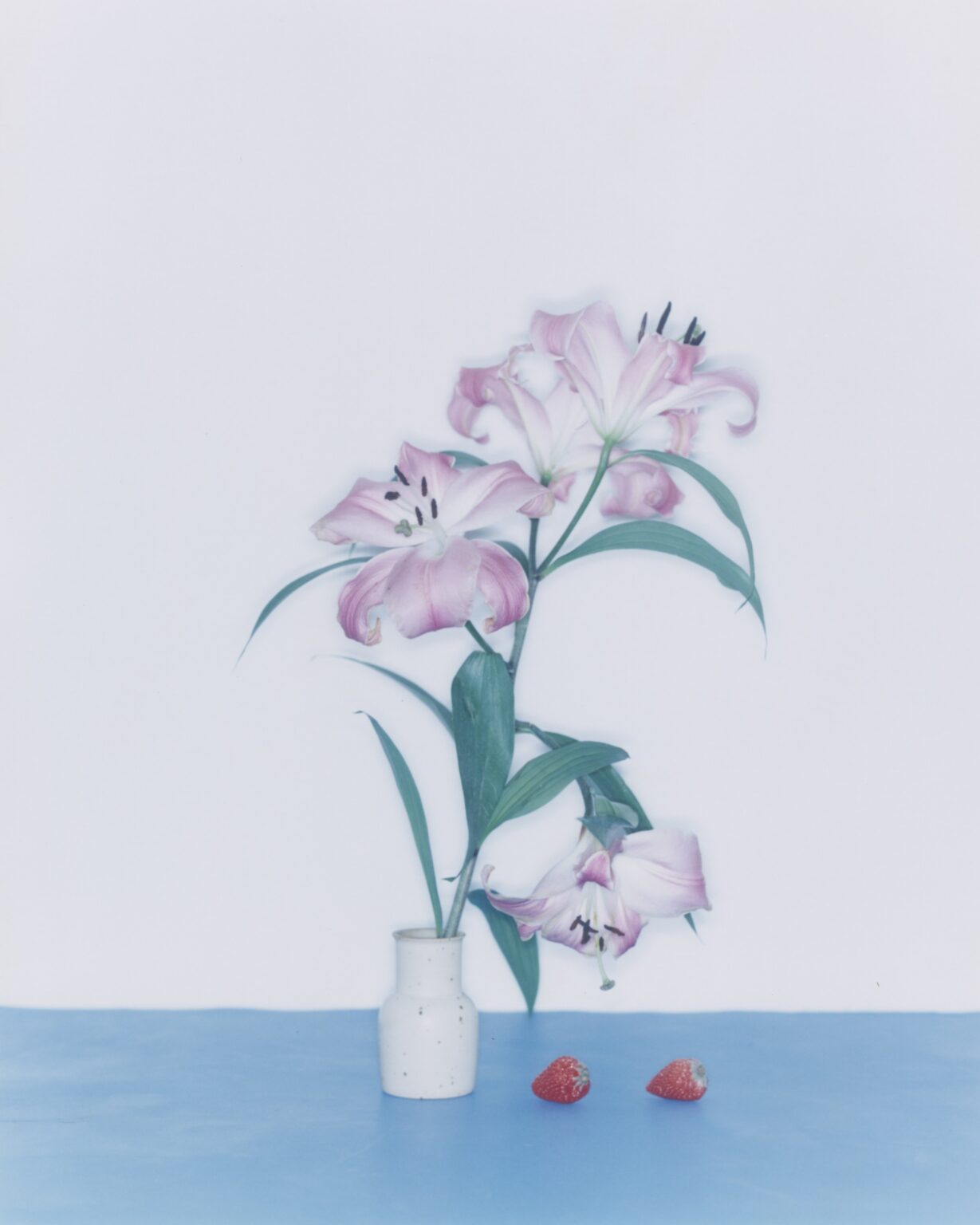 Hui Choi_24 x 30 cm