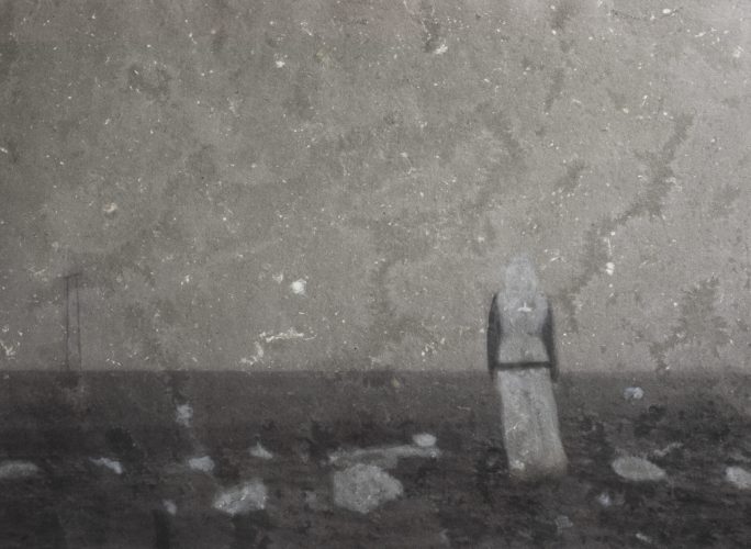 FLORE PREBAY-l'envol